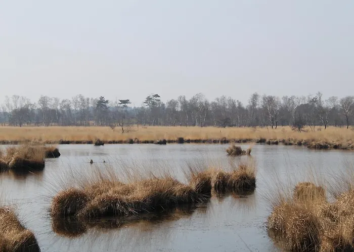 Hotel De Volksabdij Ossendrecht
